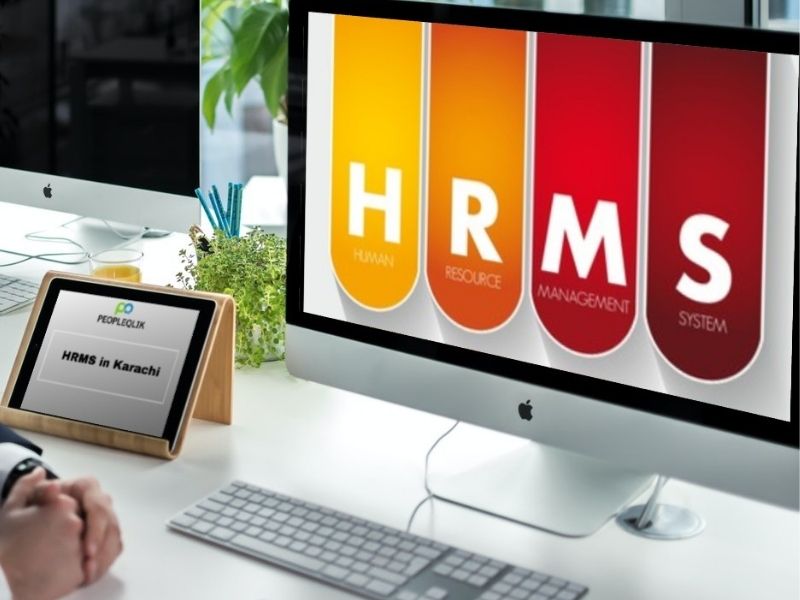 HRMS in Karachi Discover the Reporting Capabilities of HR Software